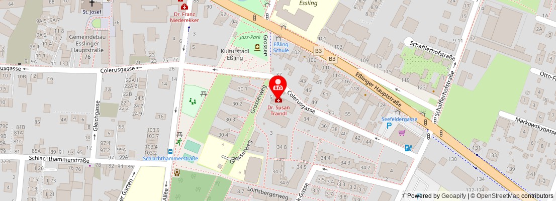 Street map section around the address